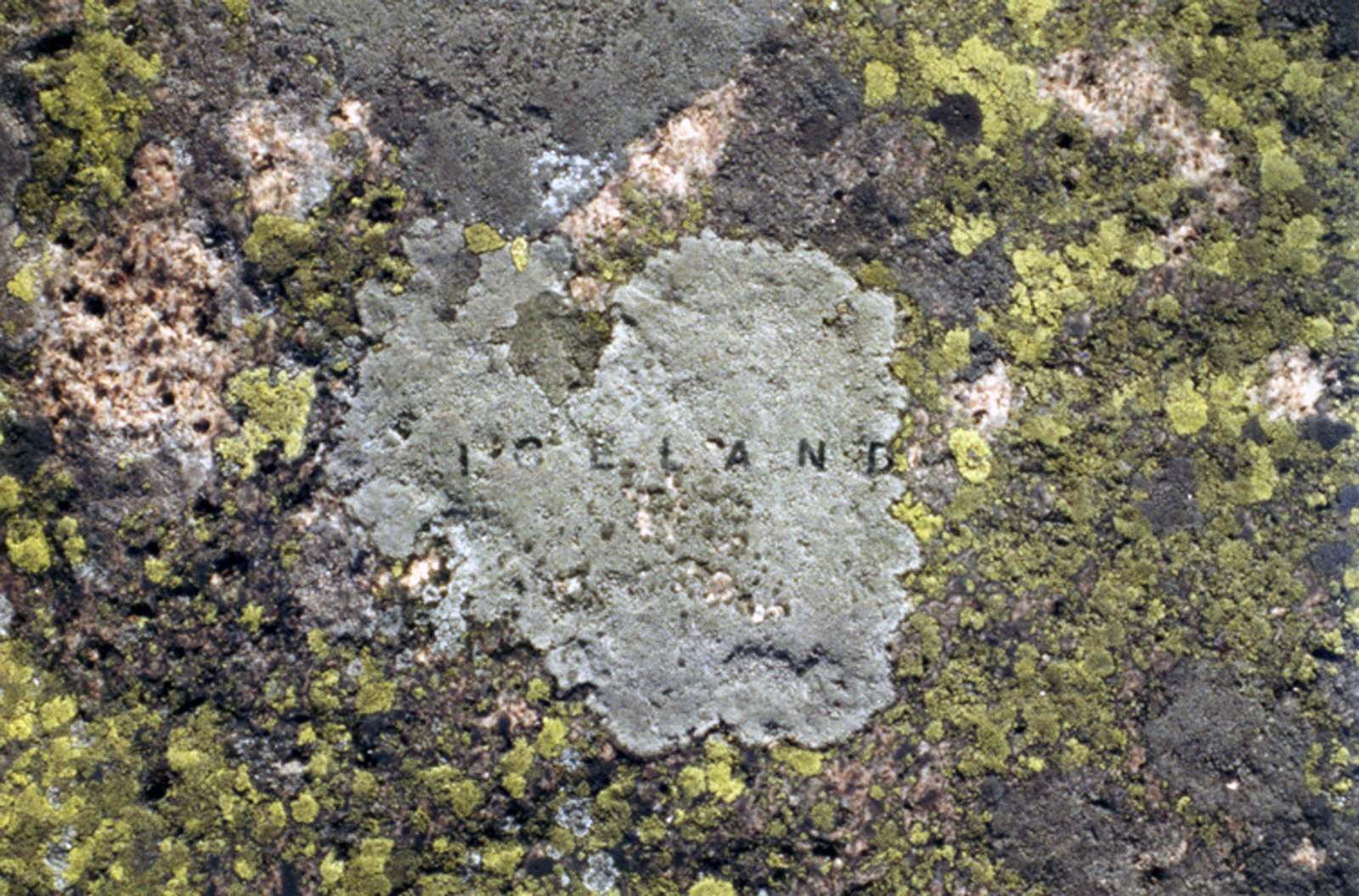 moss map of Iceland